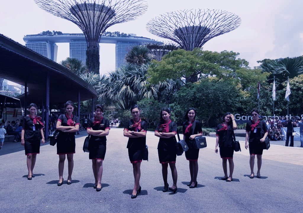 pspp penerbangan pramugari di singapura