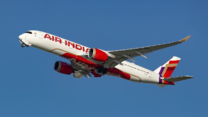 Air India Minta Maaf Atas Kehadiran Kecoak di Pesawat