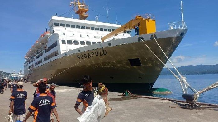 Jadwal Kapal PELNI KM Nggapulu November 2025: Rute Lengkap, Syarat, dan Harga Tiket